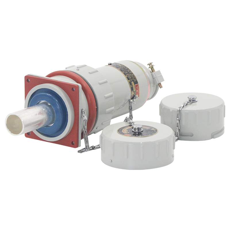 防爆无火花插销(固定式)800A单芯